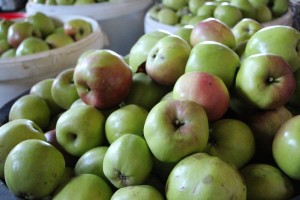 20130929-Appels-plukken-(130)